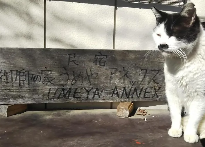 Umeya Annex